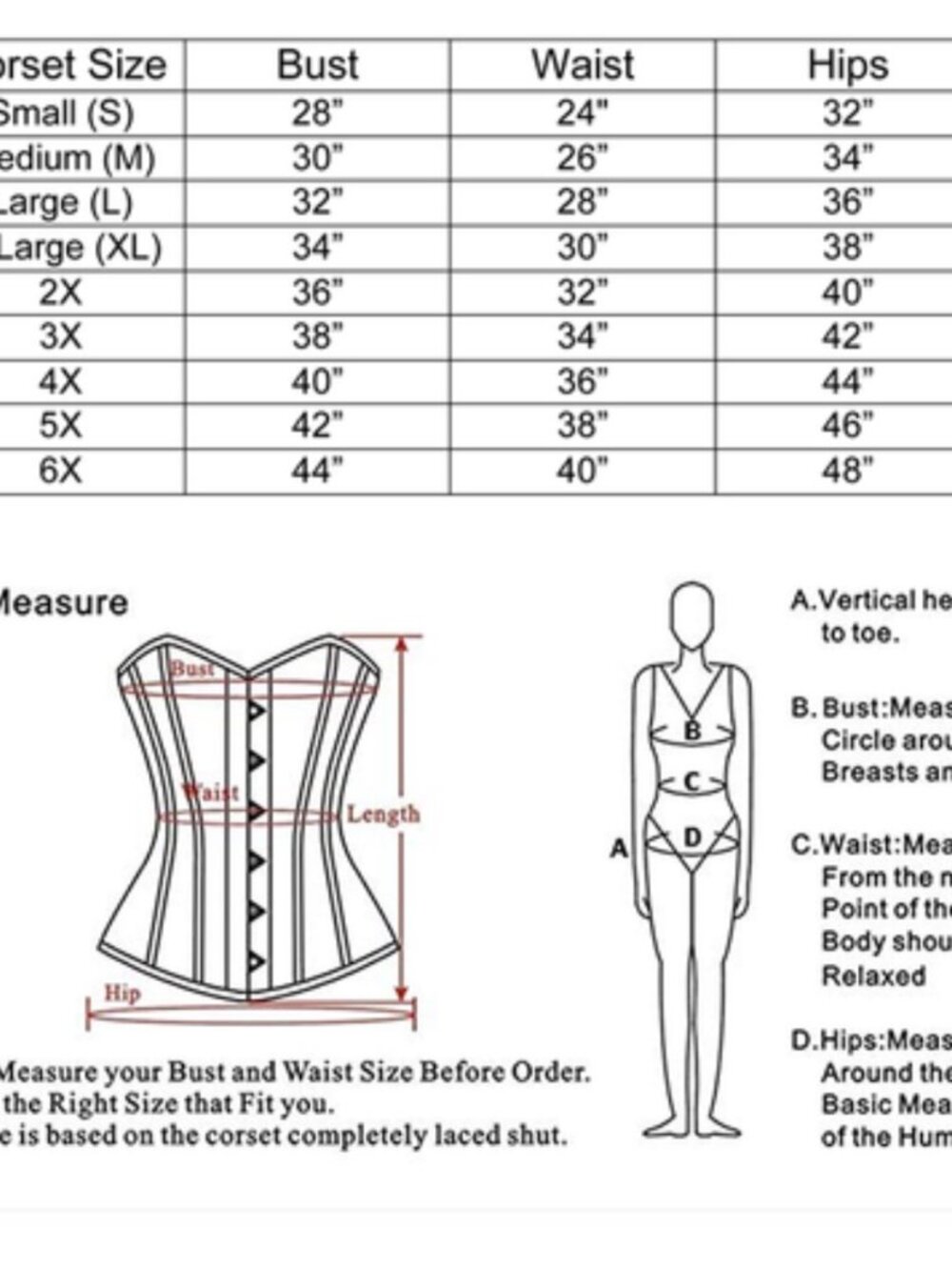 Scarlet Bloom Fringe Corset Top - Picture 9 of 9